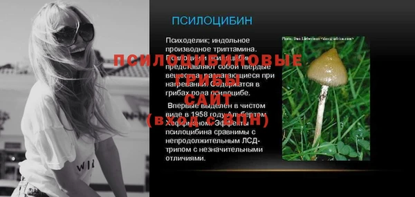 ПСИЛОЦИБИНОВЫЕ ГРИБЫ Медногорск