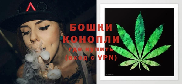 ПСИЛОЦИБИНОВЫЕ ГРИБЫ Медногорск