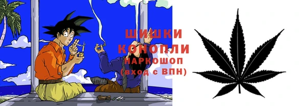 ПСИЛОЦИБИНОВЫЕ ГРИБЫ Медногорск