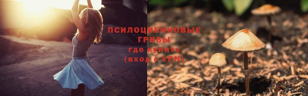 твердый Медвежьегорск