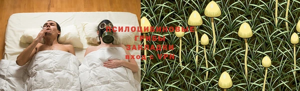 ПСИЛОЦИБИНОВЫЕ ГРИБЫ Медногорск